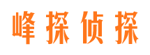 长海侦探公司